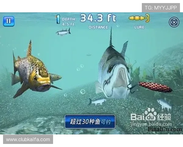 K8捕鱼王平台安全保障措施详解确保玩家资金与信息安全的最佳实践