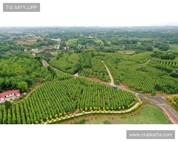 凯发网娱乐app积极响应行业规范，推动绿色健康娱乐环境建设